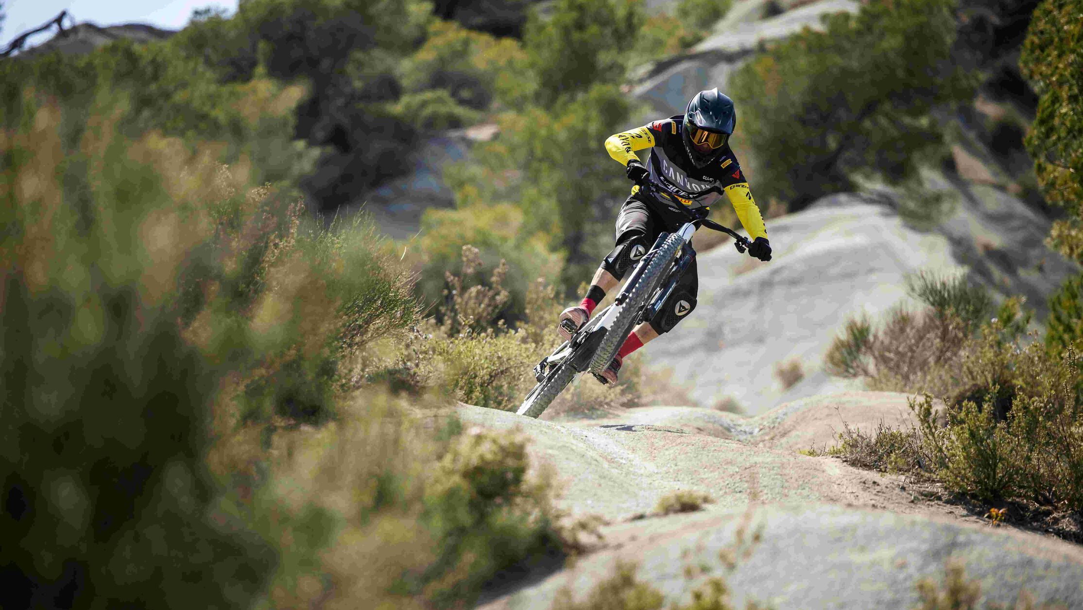 Spectral 和 Neuron 均提供多种避震设置