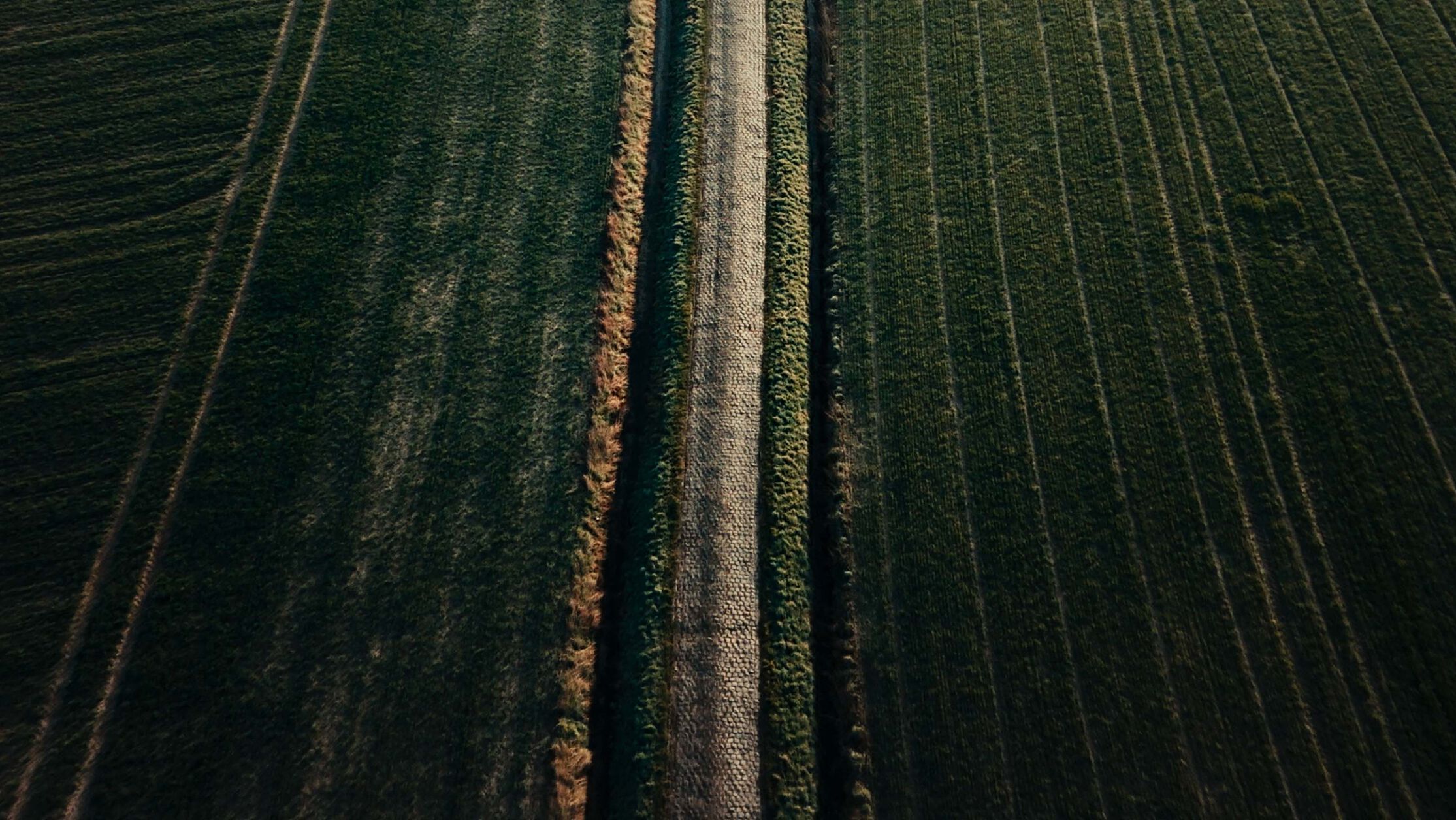 Endurace road bike or road race bike? Which one should you choose for better comfort?