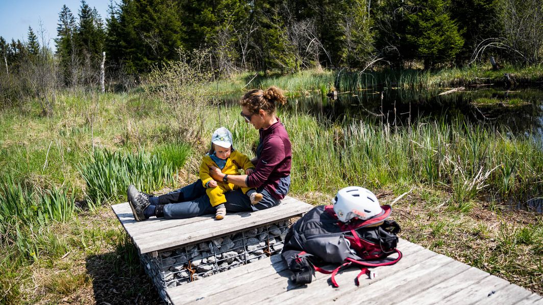 How to go bikepacking with a child 