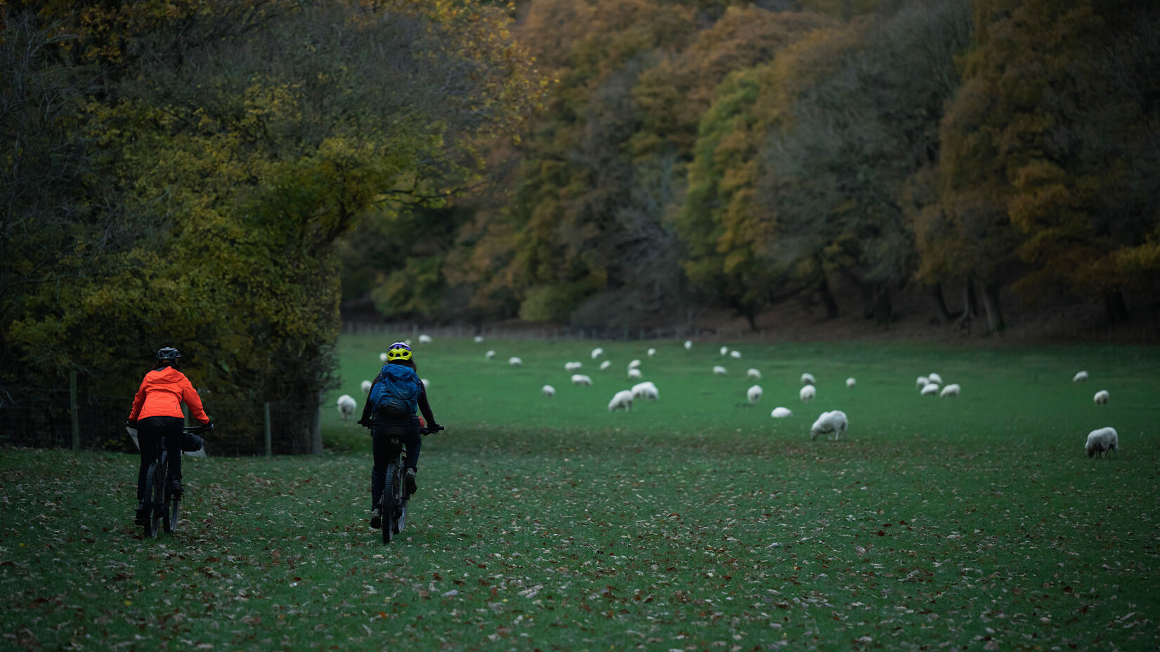 Vedangi and Maya's Cycling Adventure