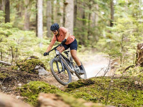 Lux Trail vs. Lux World Cup: How to choose? Lux Trail vs. Lux World Cup: How to choose?