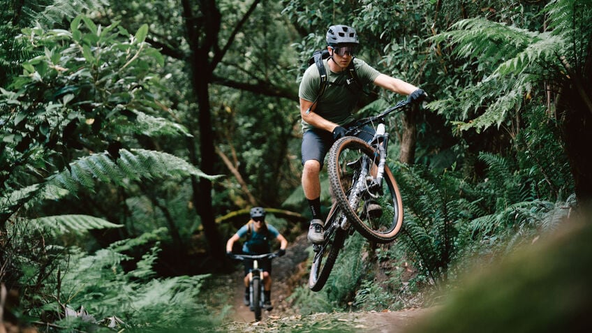 Through the forest on the Canyon Neuron