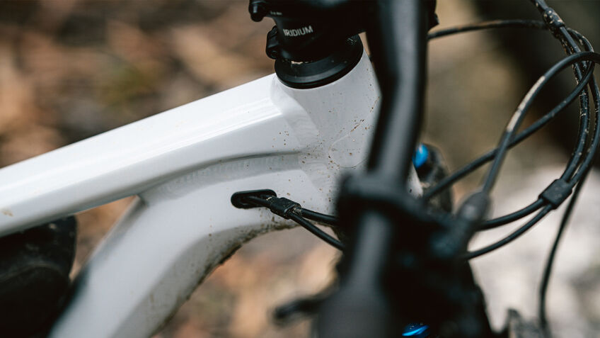 The Canyon Neuron can handle any terrain
