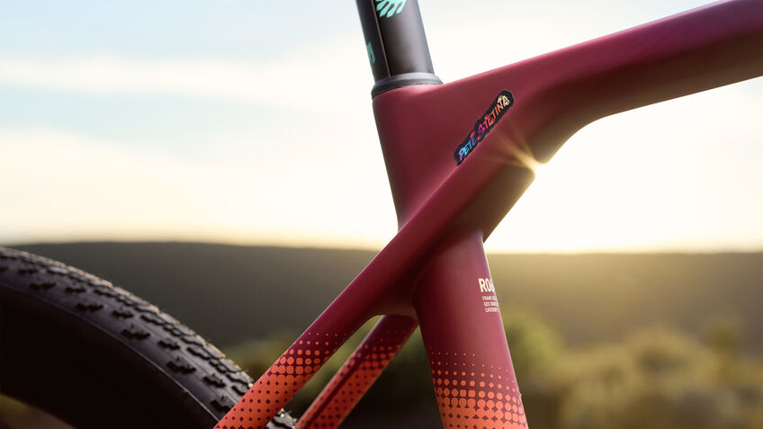 Canyon Grail CF SL 7 Race Stat