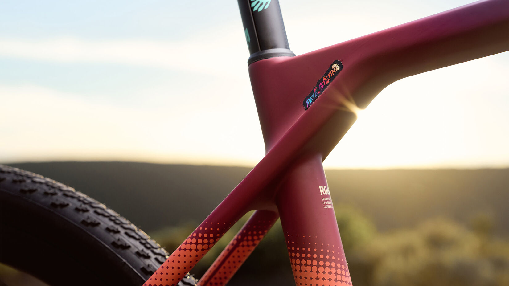 Canyon Grail CF SL 7 Race Stat