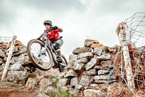 Spectral 与 Neuron：哪款更适合您？&nbsp;