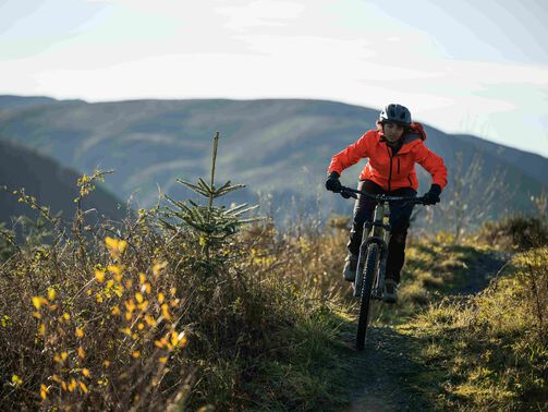 Bikepacking on a budget: how to create a simple, smart setup Bikepacking on a budget: how to create a simple, smart setup