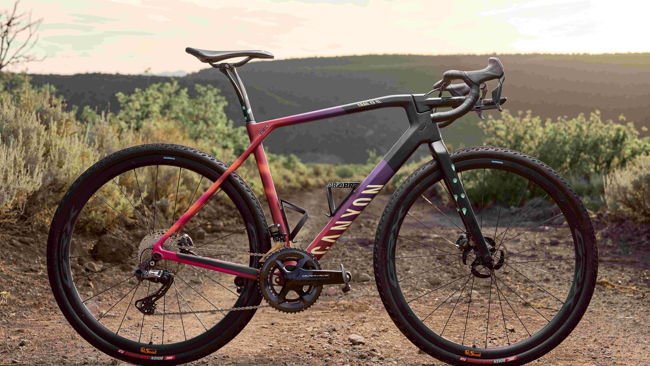Canyon Grail bike set up for off-road adventures, combining aerodynamic design with gravel-specific geometry.