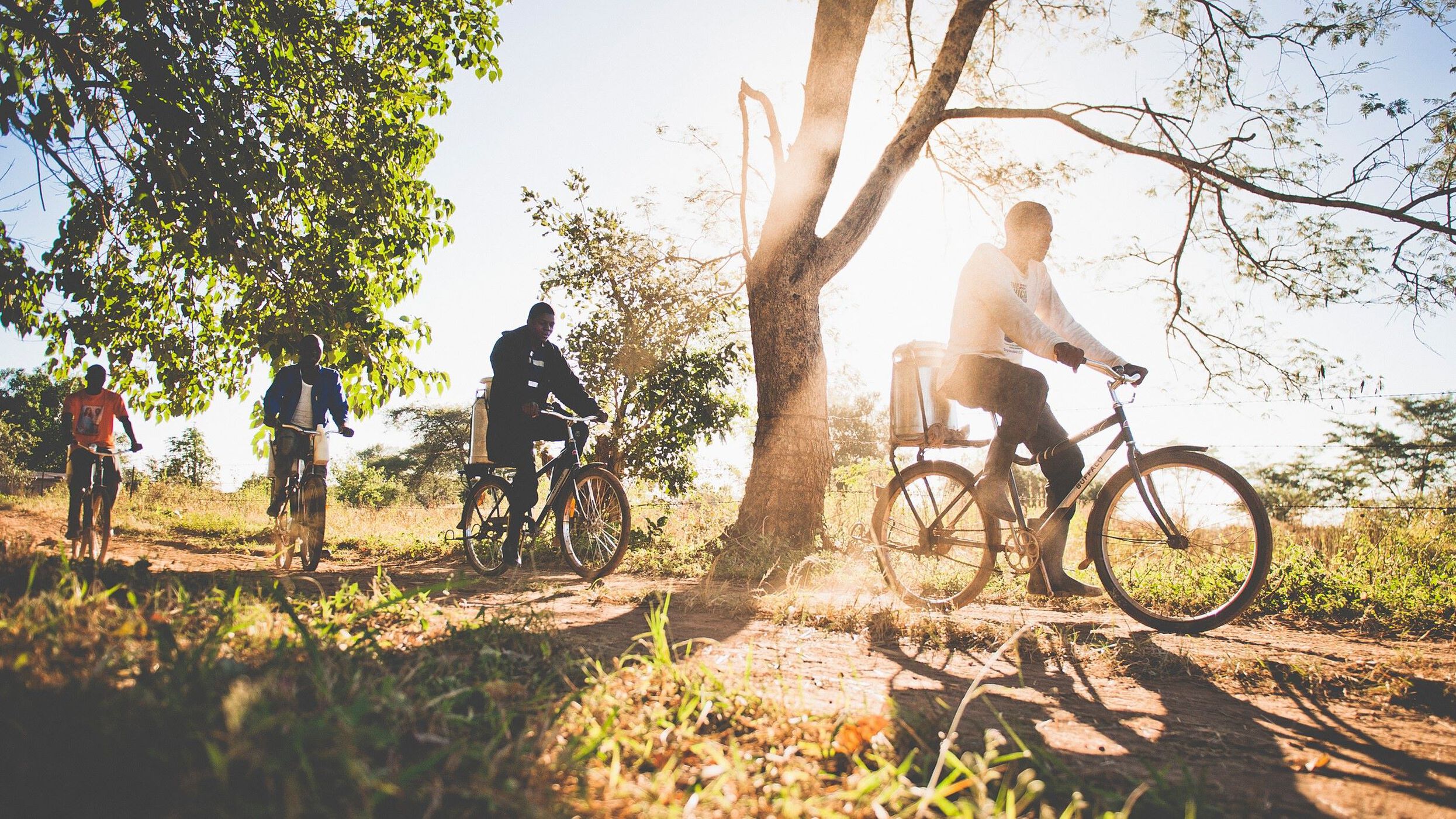 One CLLCTV One World