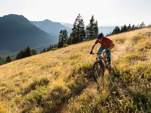 Trail Mountain Bike Buyer’s Guide Trail Mountain Bike Buyer’s Guide
