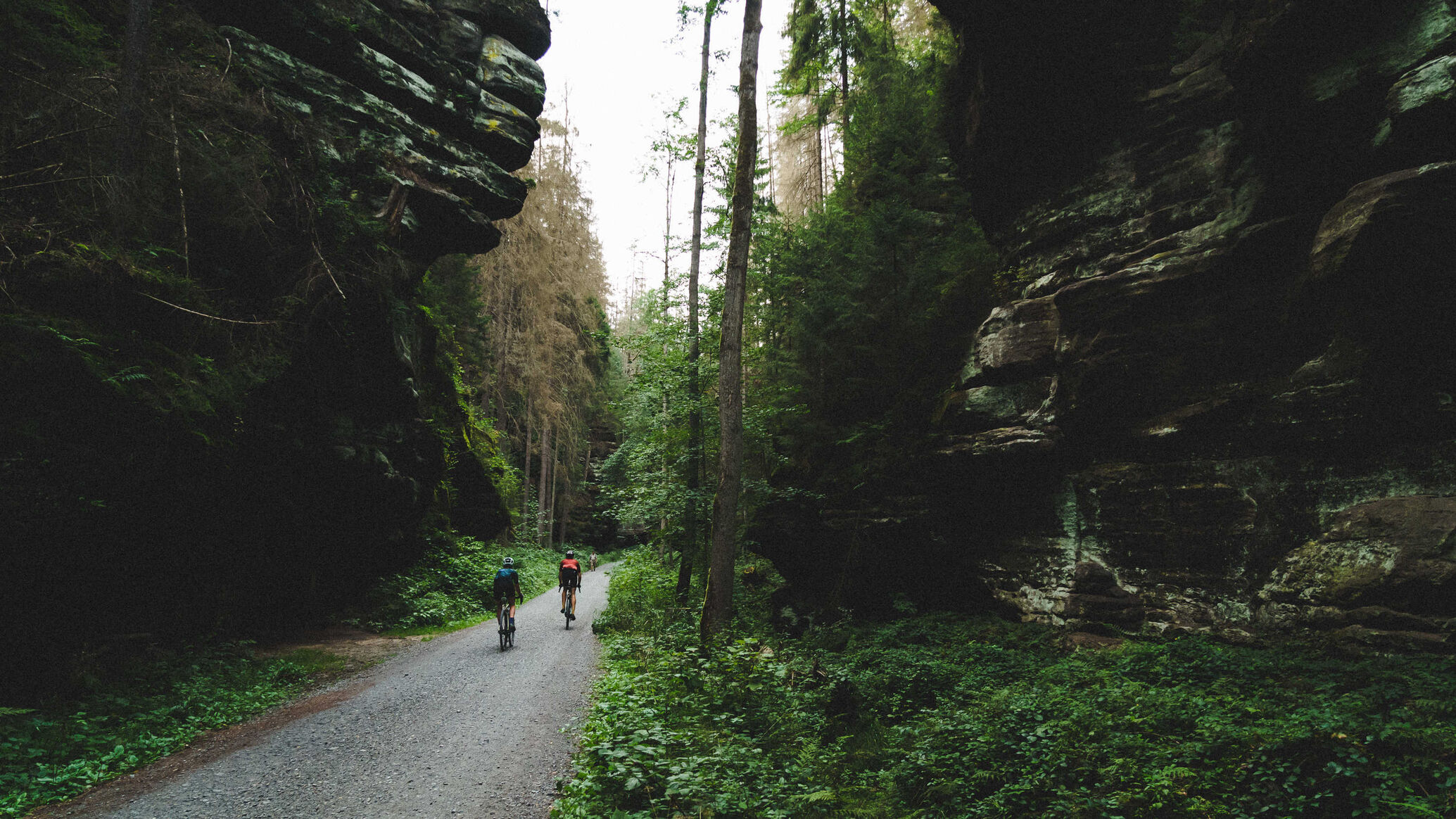 Bohemian Border Bash