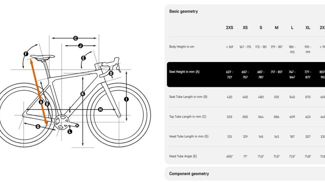 Canyon gravel bike geometry chart