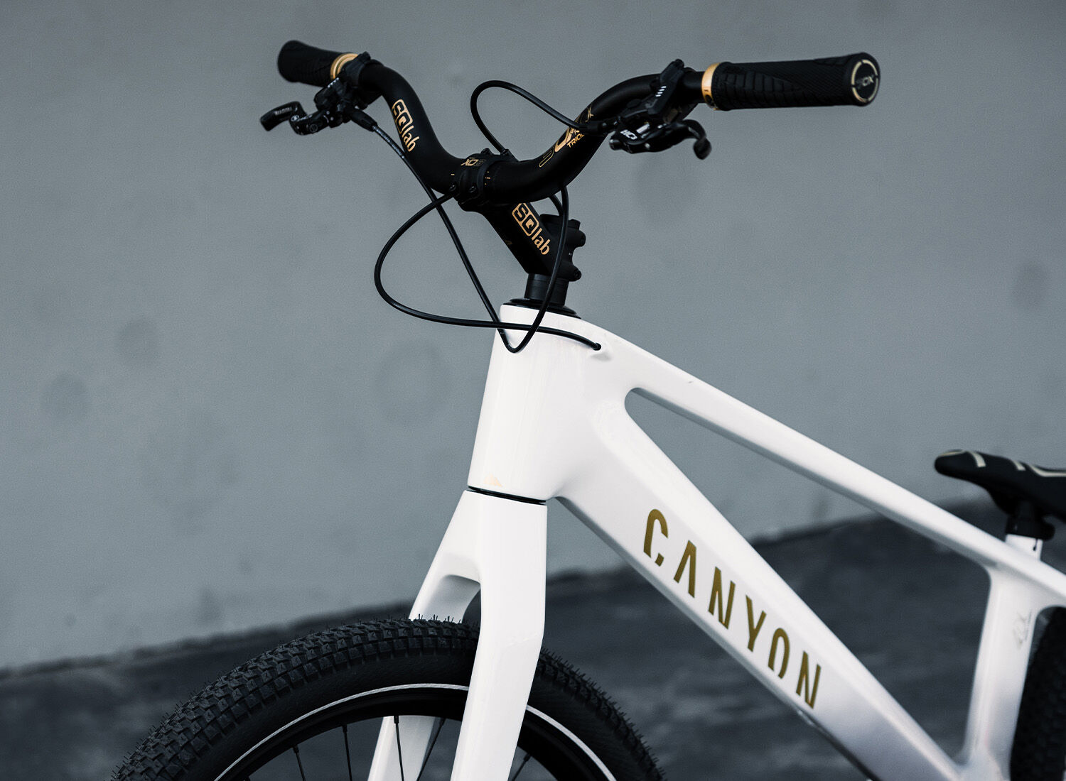 Trial Bike | Stitched CFR | CANYON CN