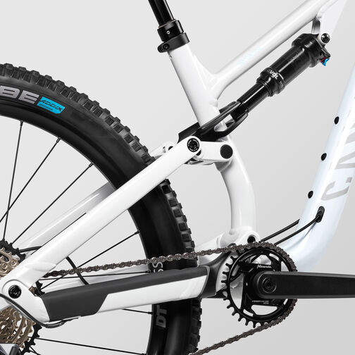 Neuron 6 WMN Neuron 6 WMN