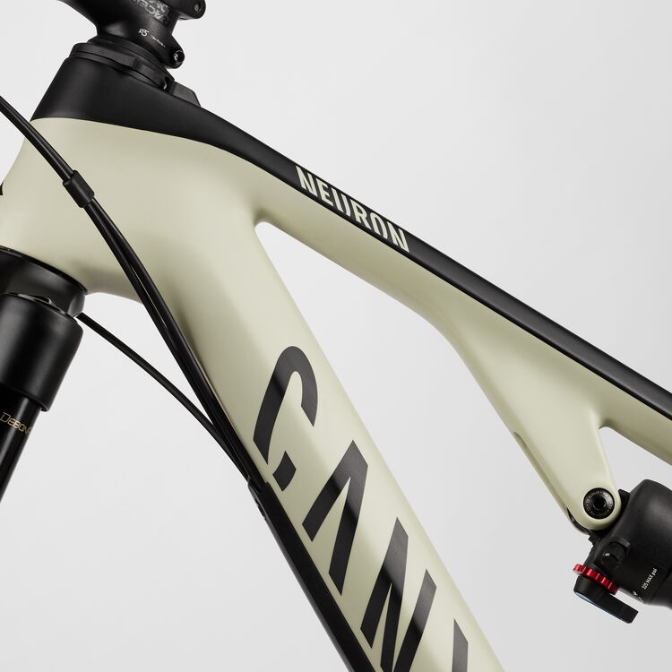 Neuron CF 8 Neuron CF 8