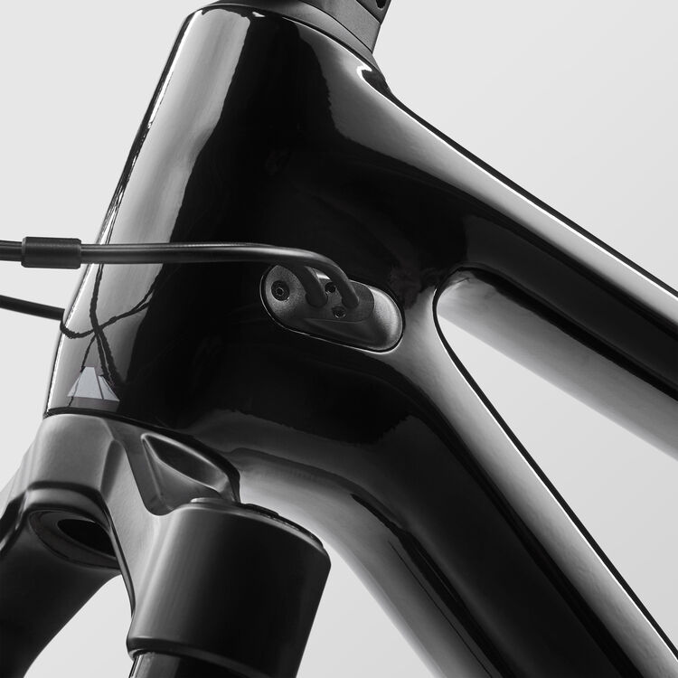 Torque 27.5 CF 7 Torque 27.5 CF 7