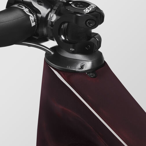 Neuron CF LTD Neuron CF LTD