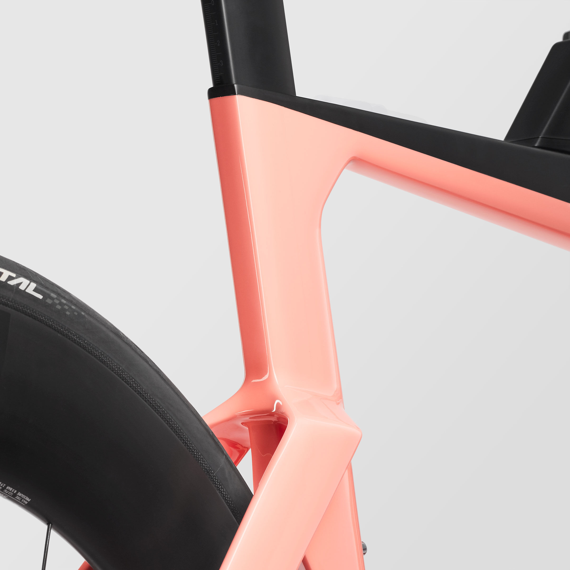 Speedmax CF 8 WMN Disc