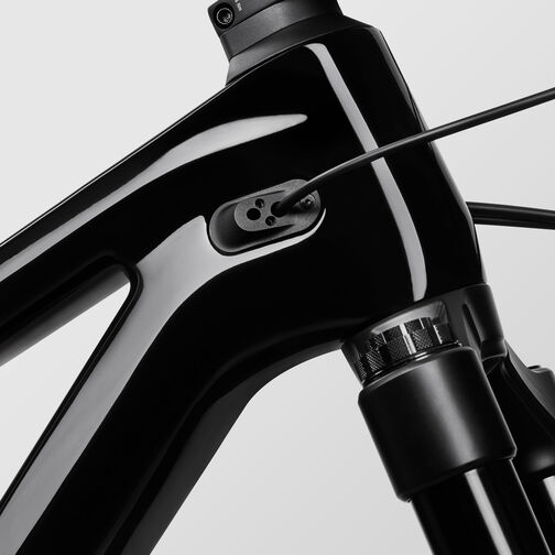 Torque Mullet CF 7 Torque Mullet CF 7