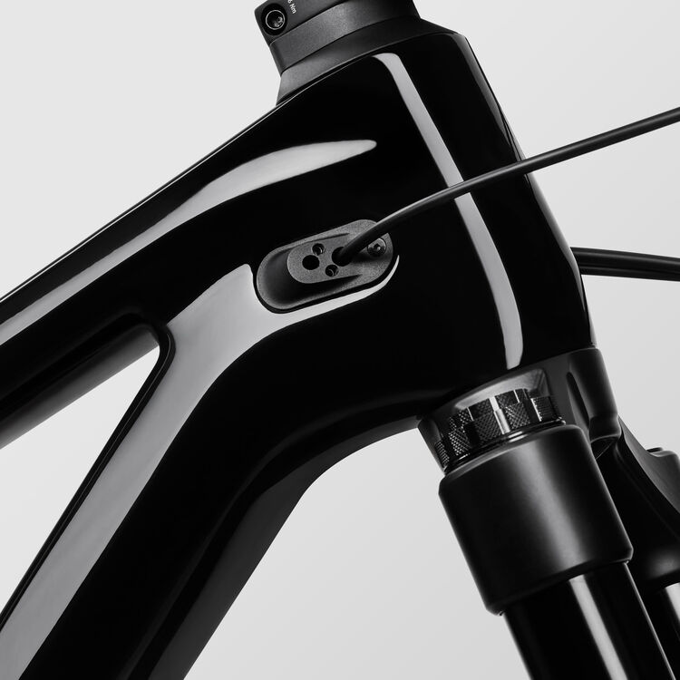 Torque Mullet CF 7 Torque Mullet CF 7