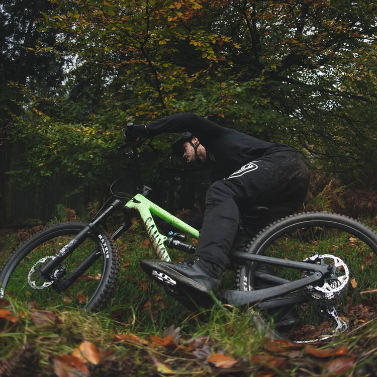 Spectral 29 CF 8 Spectral 29 CF 8