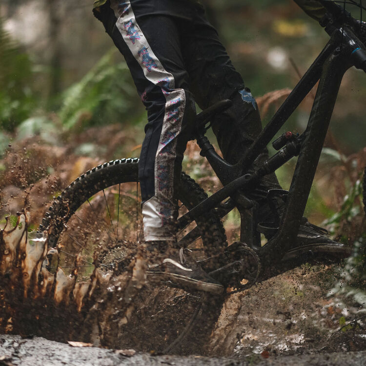 Spectral 29 CF 8 Spectral 29 CF 8