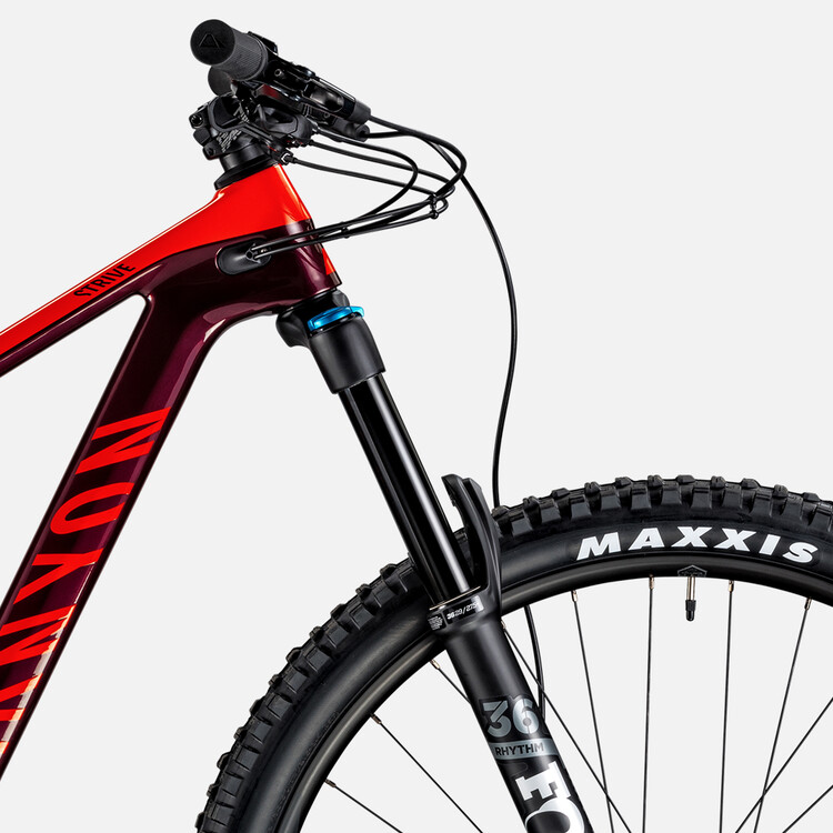 Strive CF 5.0 Strive CF 5.0