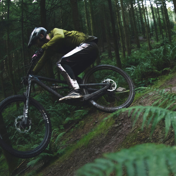 Spectral 29 CF 8 Spectral 29 CF 8