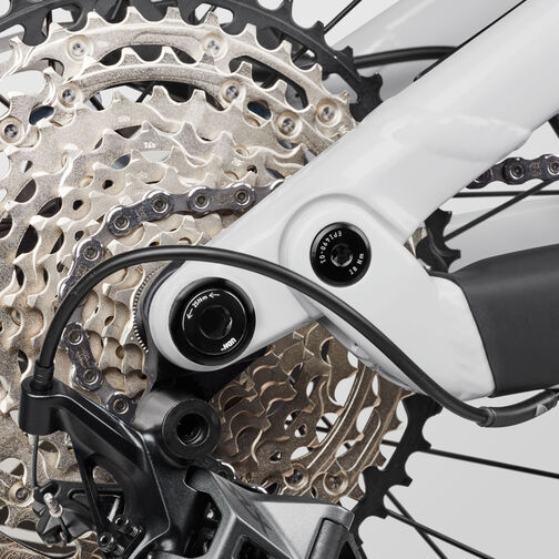 Neuron 6 WMN Neuron 6 WMN