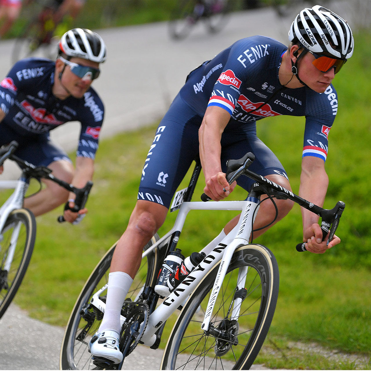 Elite Fly Alpecin-Fenix Bottle