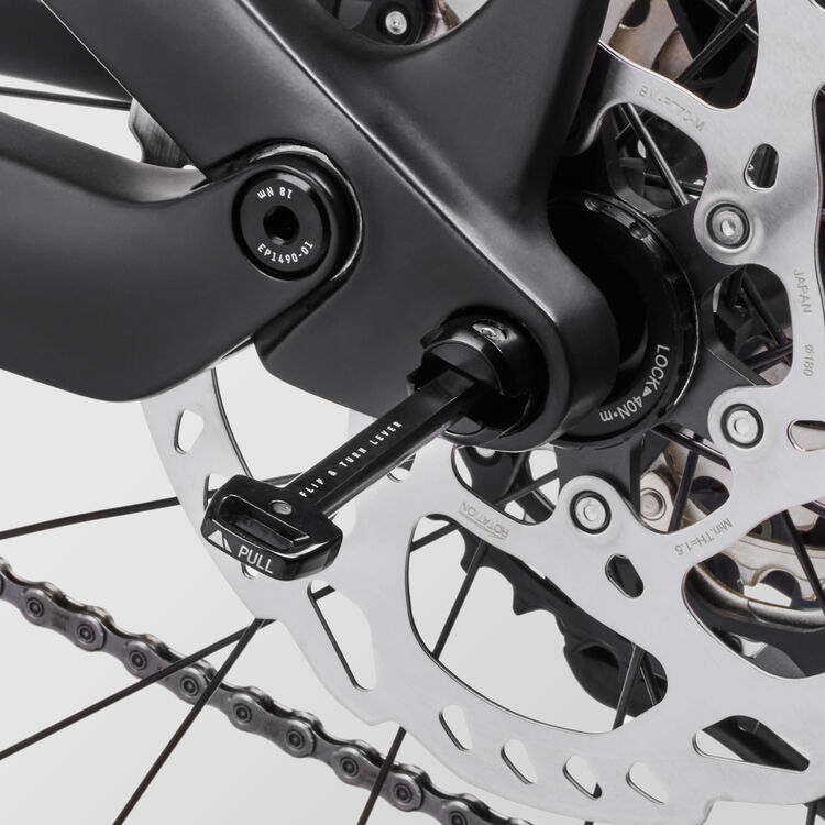 Neuron CF 8 Neuron CF 8