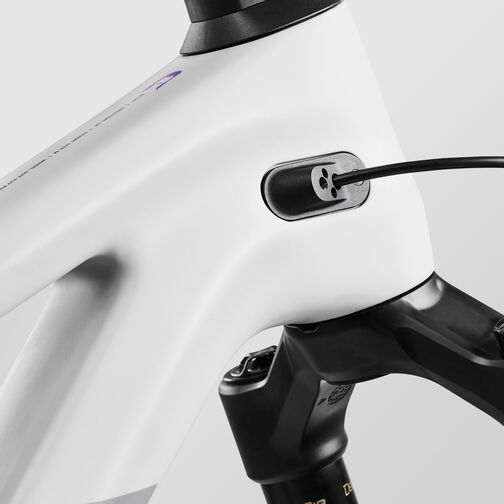 Spectral Mullet CF 8 CLLCTV Spectral Mullet CF 8 CLLCTV