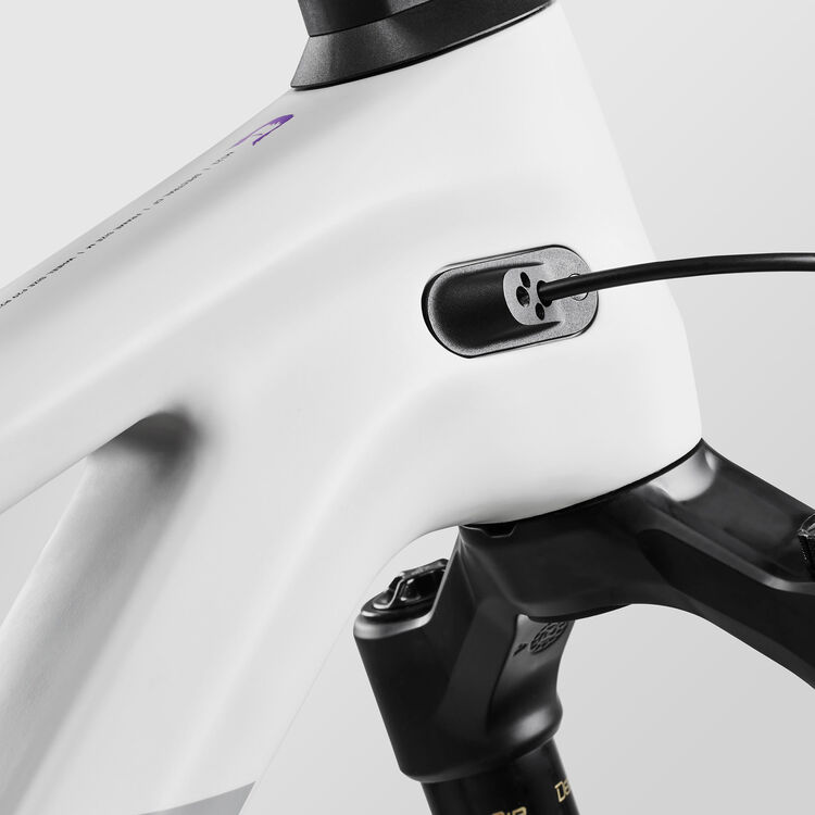 Spectral Mullet CF 8 CLLCTV Spectral Mullet CF 8 CLLCTV