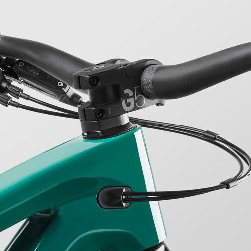 Strive CFR TLD Strive CFR TLD