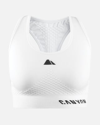 Canyon Sports Bra Canyon Sports Bra