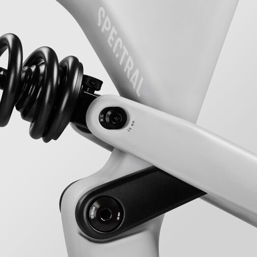 Spectral Mullet CF 8 CLLCTV Spectral Mullet CF 8 CLLCTV