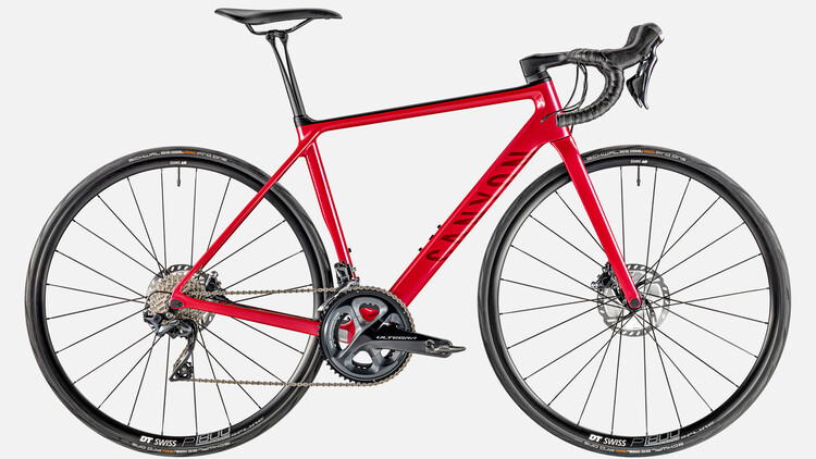 Ultimate WMN CF SL Disc 8.0 Ultimate WMN CF SL Disc 8.0