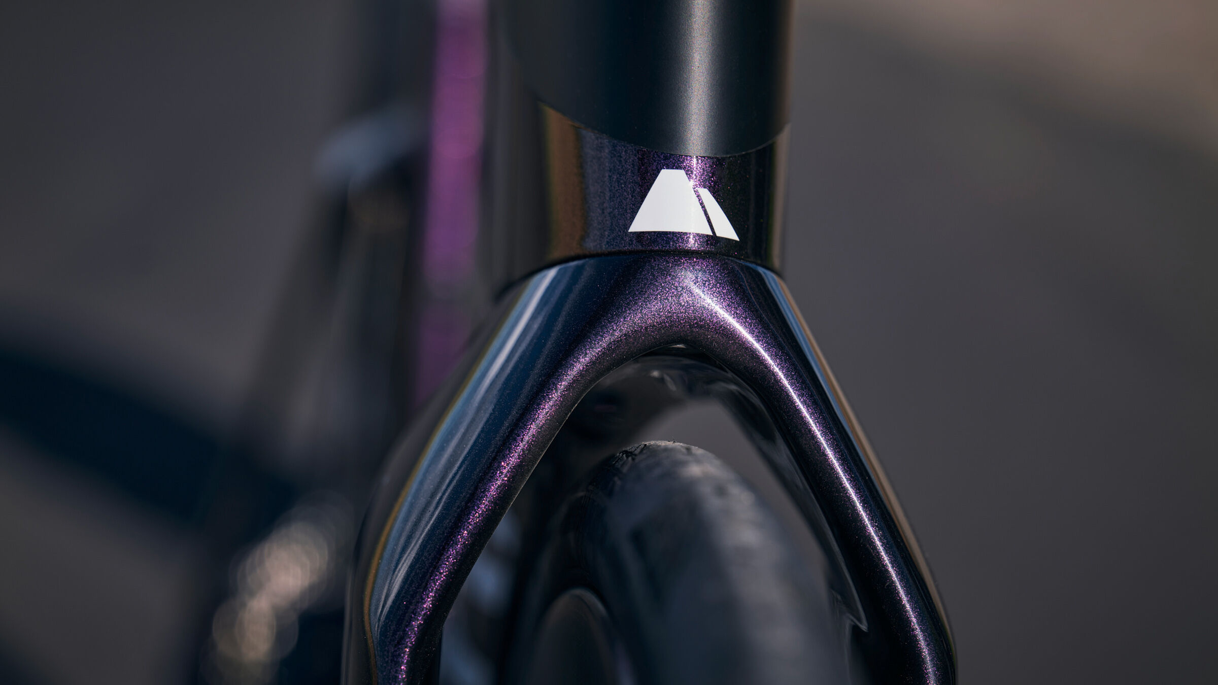 Speedmax CF SLX 8 WMN Disc Di2