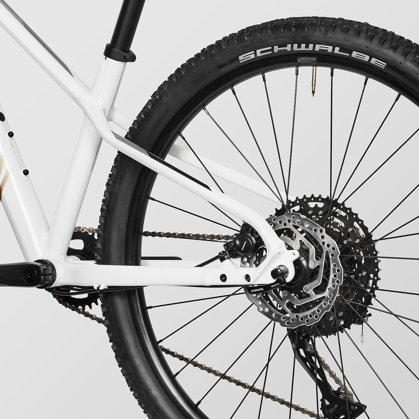 Grand Canyon Young Hero