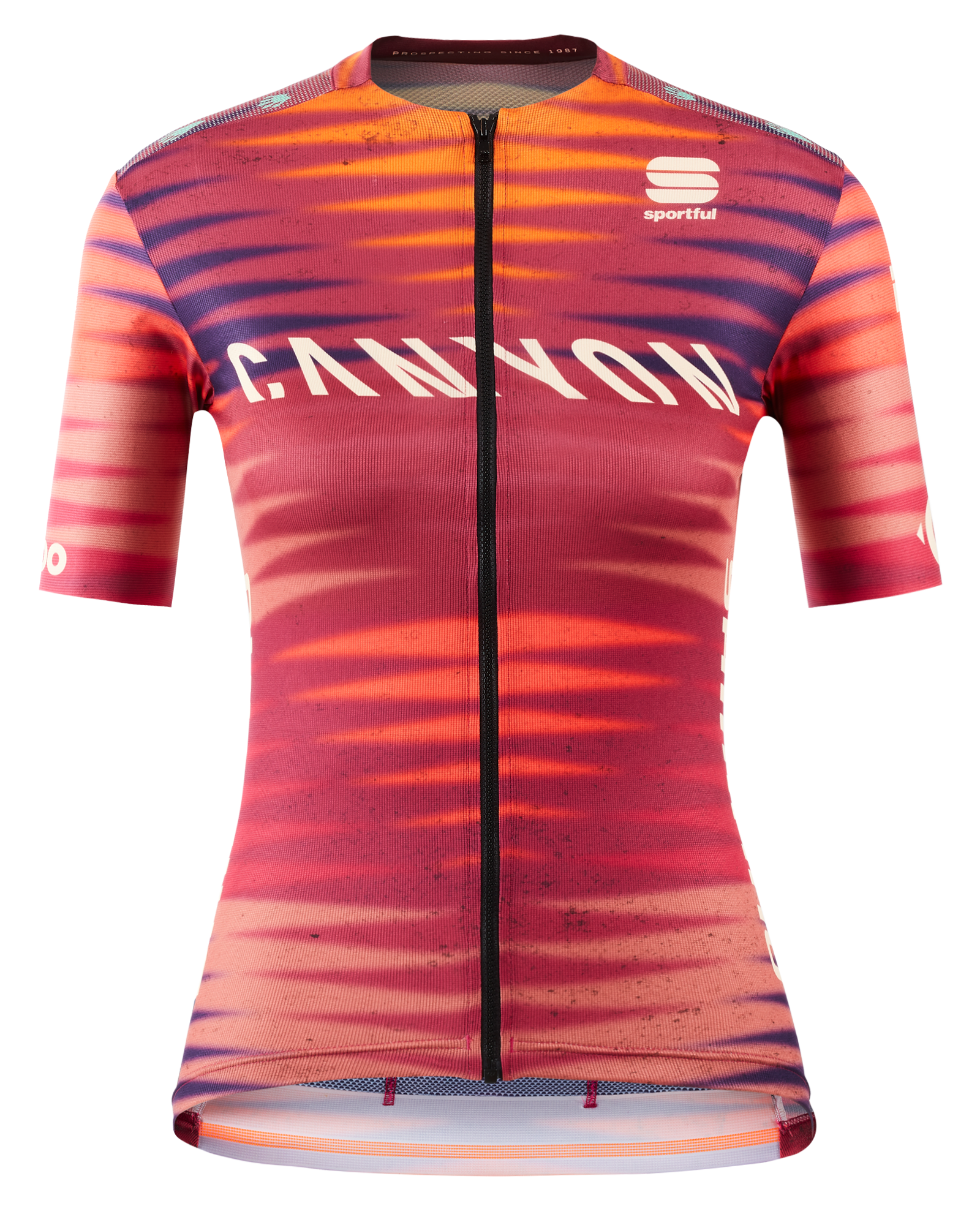 Peter Stetina Pro WMN Jersey