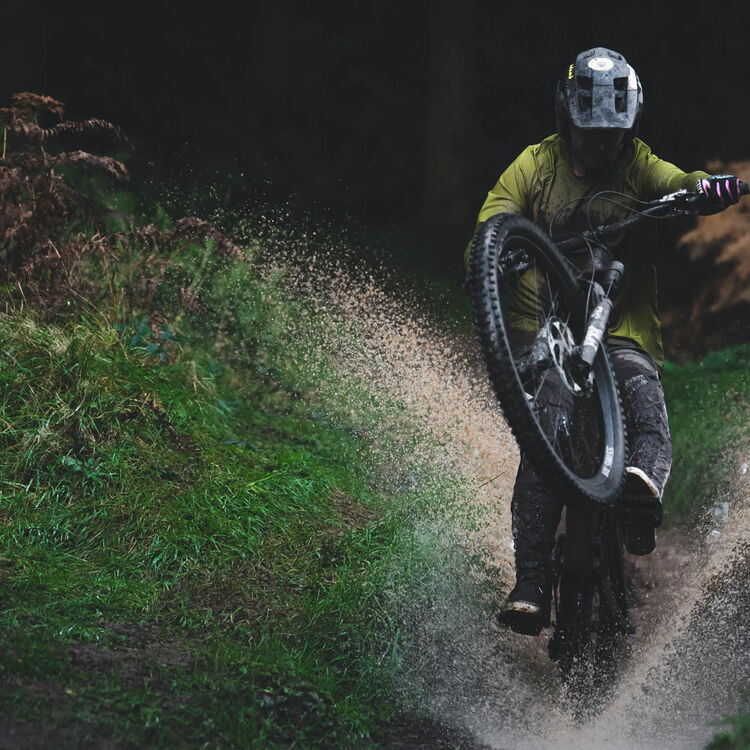 Spectral 29 CF 8 Spectral 29 CF 8