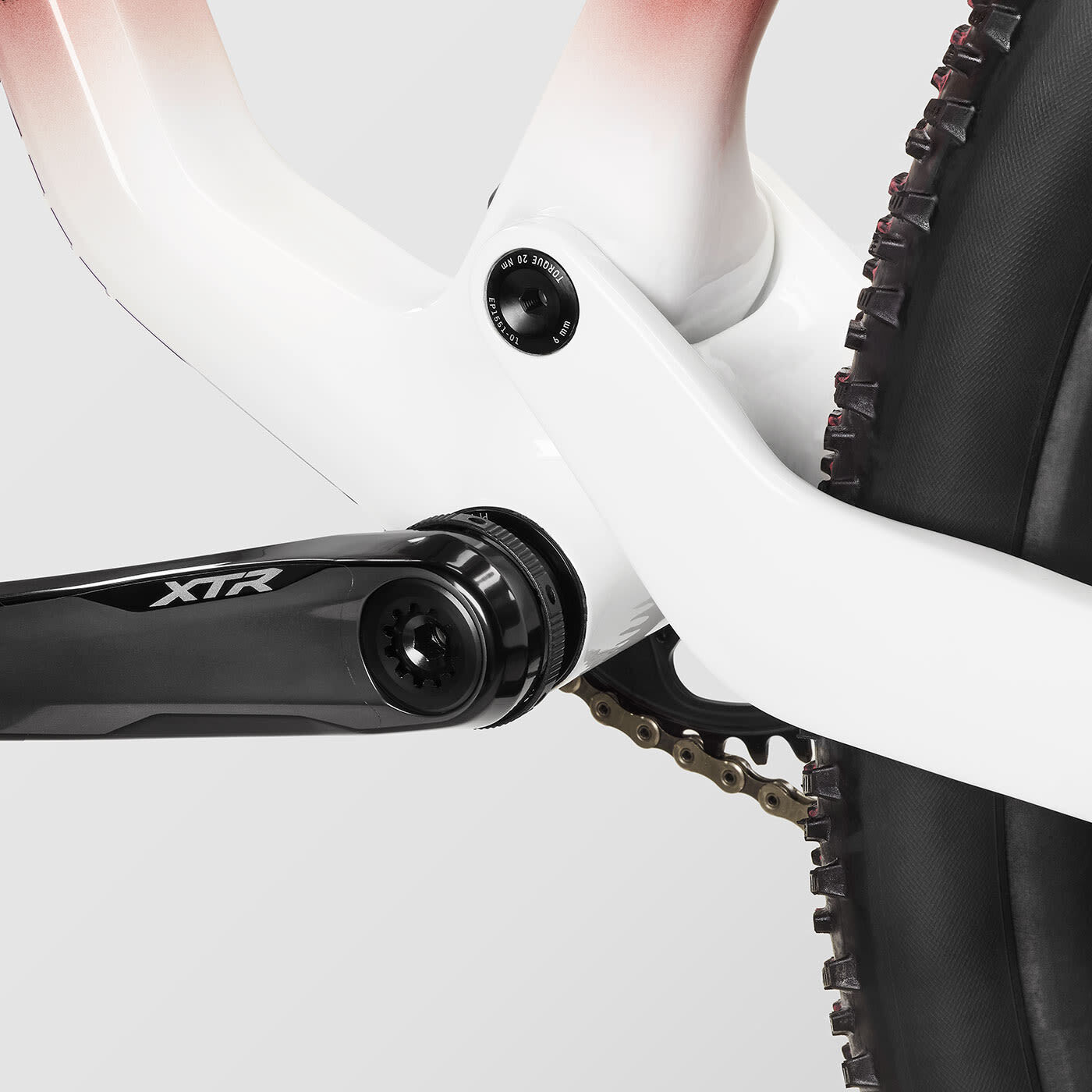 Lux World Cup CFR Untamed