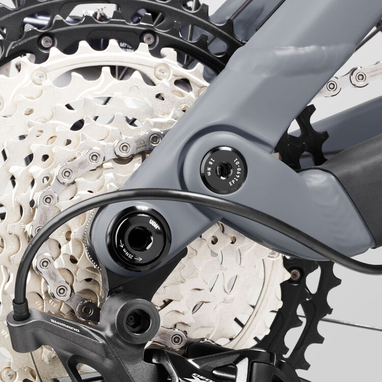 Neuron 7 WMN Neuron 7 WMN