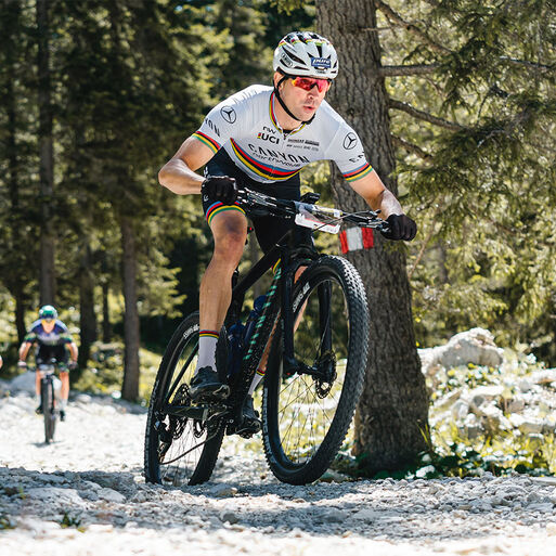 29er Hardtail MTBs 29er Hardtail MTBs